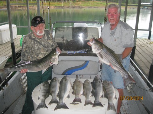 Nice Striped Bass